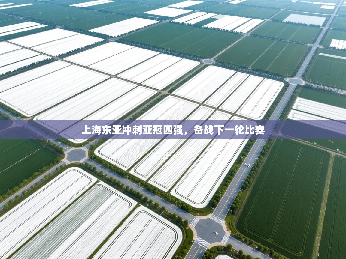 上海东亚冲刺亚冠四强，备战下一轮比赛