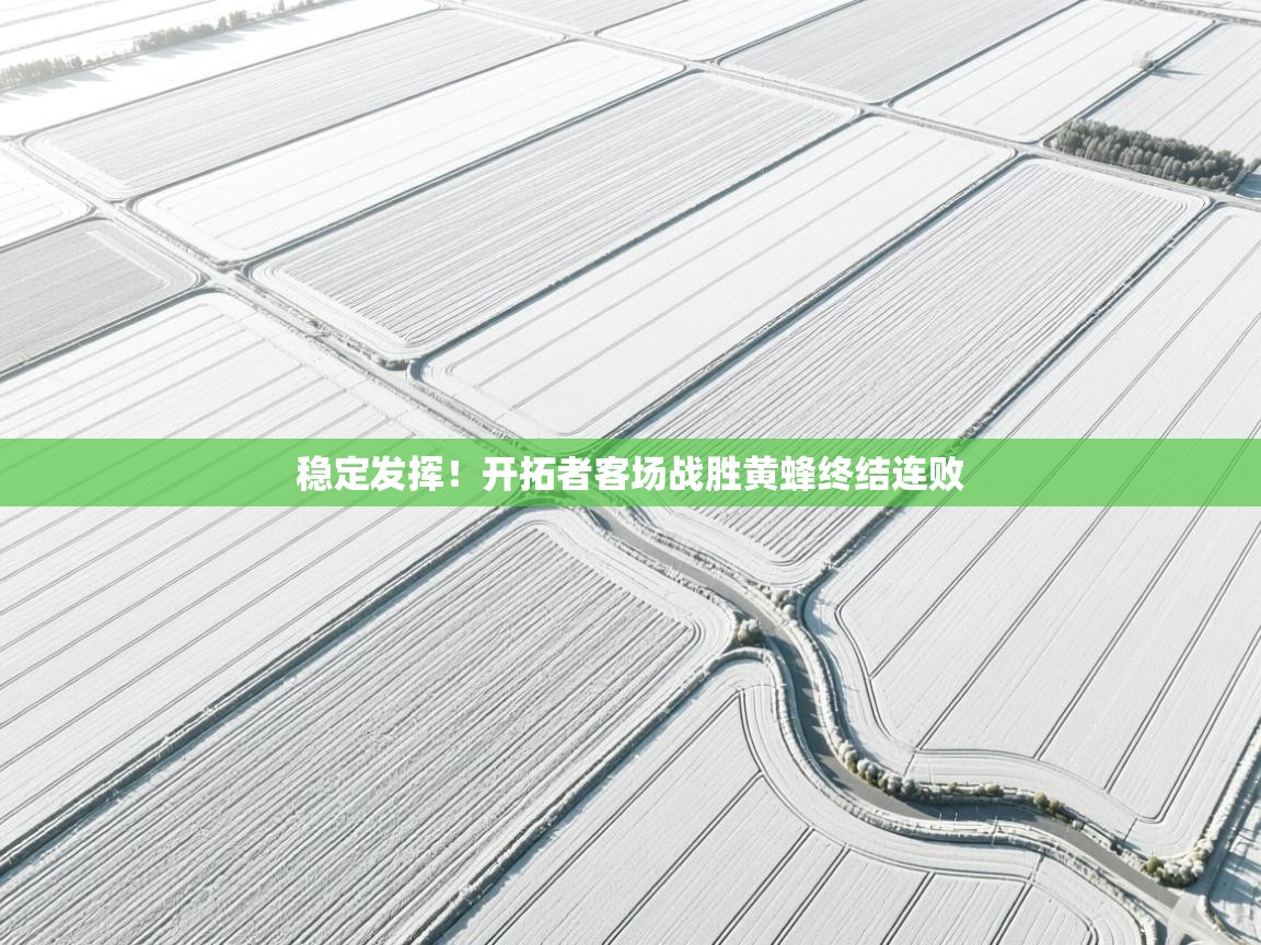 稳定发挥！开拓者客场战胜黄蜂终结连败