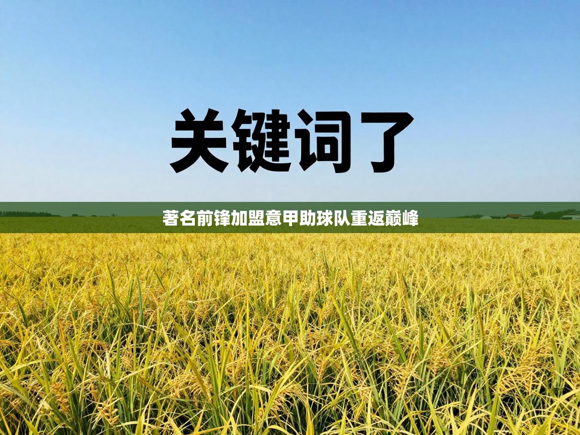 著名前锋加盟意甲助球队重返巅峰